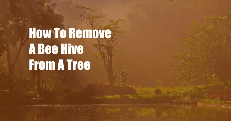 How To Remove A Bee Hive From A Tree