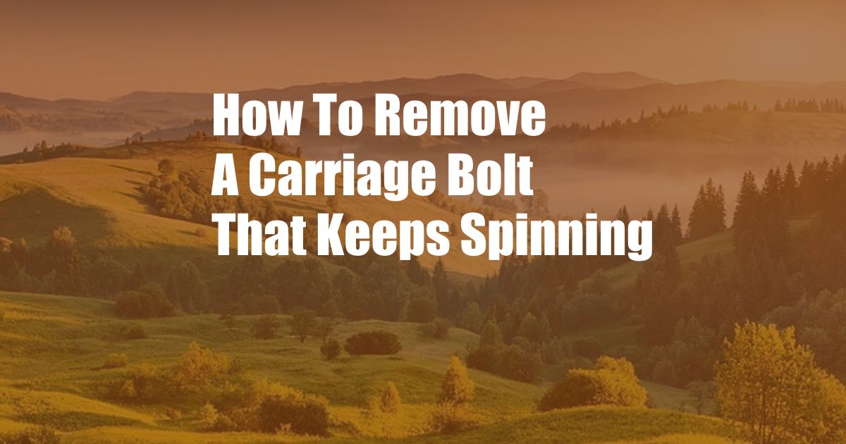 How To Remove A Carriage Bolt That Keeps Spinning