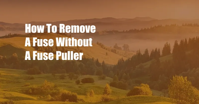 How To Remove A Fuse Without A Fuse Puller