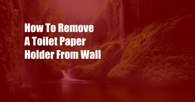 How To Remove A Toilet Paper Holder From Wall