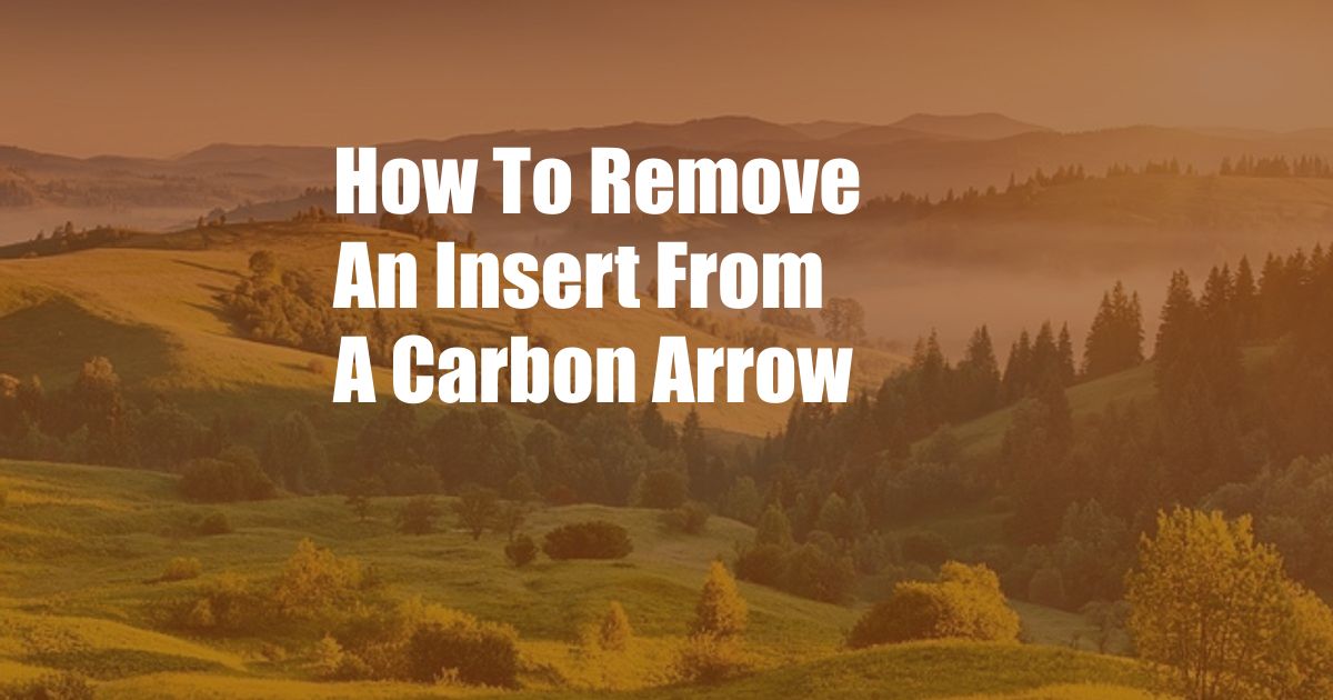 How To Remove An Insert From A Carbon Arrow