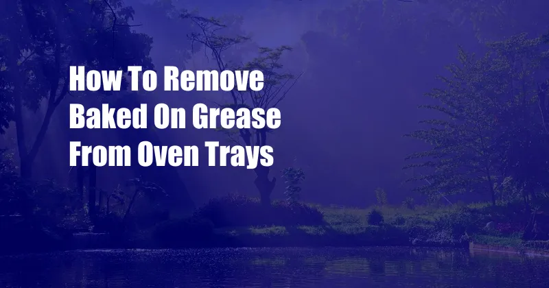 How To Remove Baked On Grease From Oven Trays