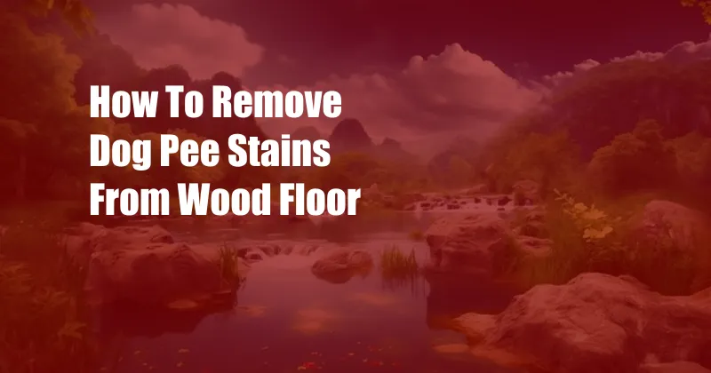 How To Remove Dog Pee Stains From Wood Floor