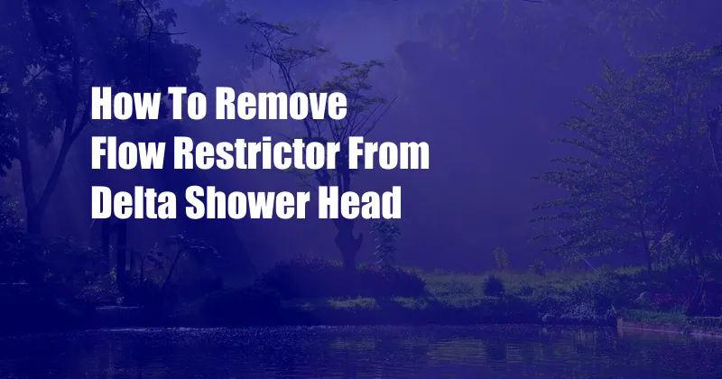 How To Remove Flow Restrictor From Delta Shower Head