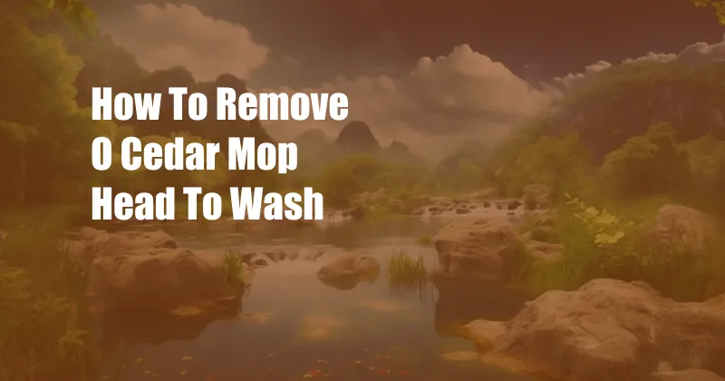 How To Remove O Cedar Mop Head To Wash