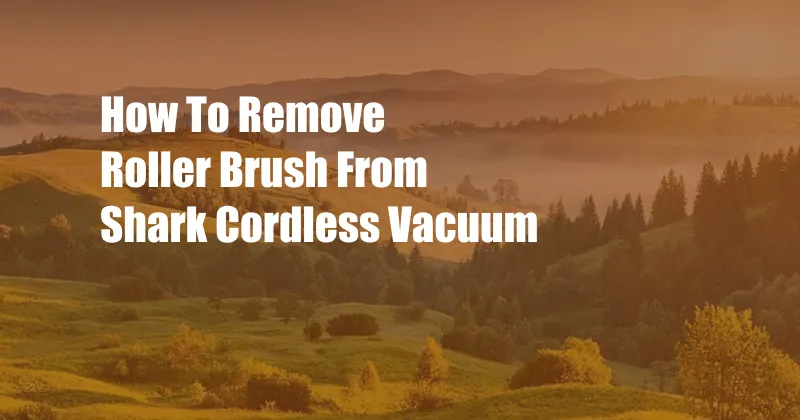 How To Remove Roller Brush From Shark Cordless Vacuum