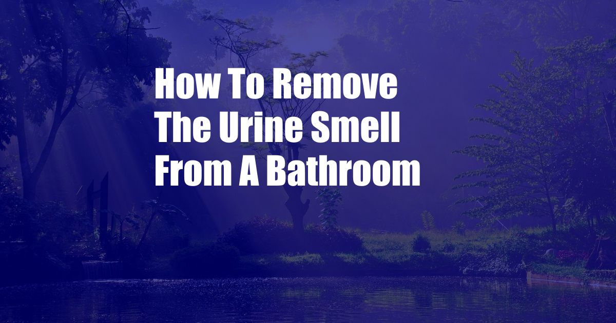 How To Remove The Urine Smell From A Bathroom