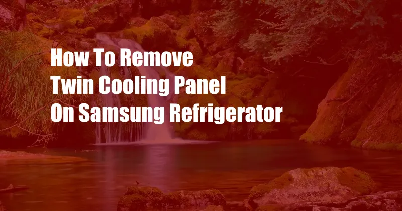 How To Remove Twin Cooling Panel On Samsung Refrigerator