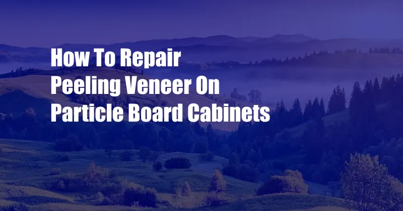 How To Repair Peeling Veneer On Particle Board Cabinets