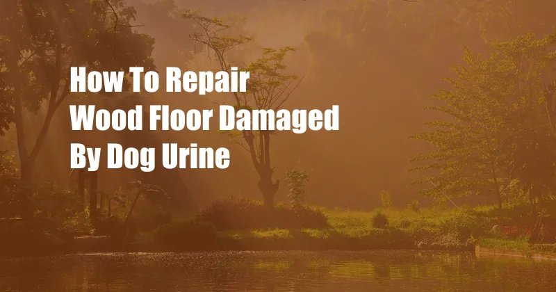 How To Repair Wood Floor Damaged By Dog Urine