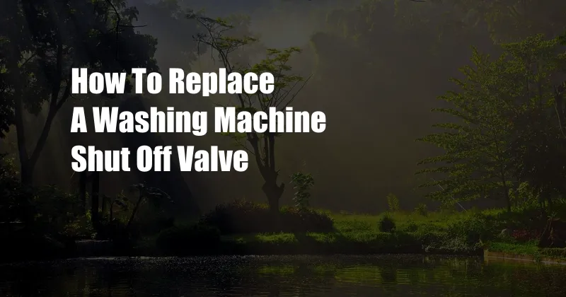 How To Replace A Washing Machine Shut Off Valve