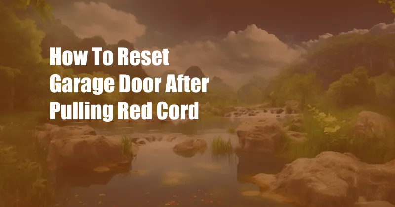 How To Reset Garage Door After Pulling Red Cord