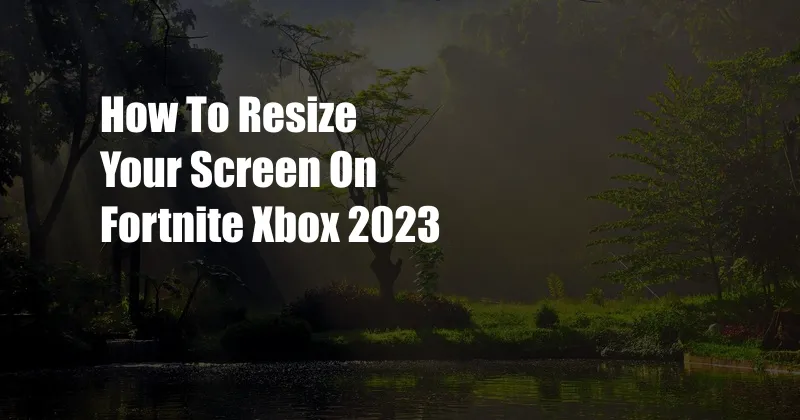 How To Resize Your Screen On Fortnite Xbox 2023