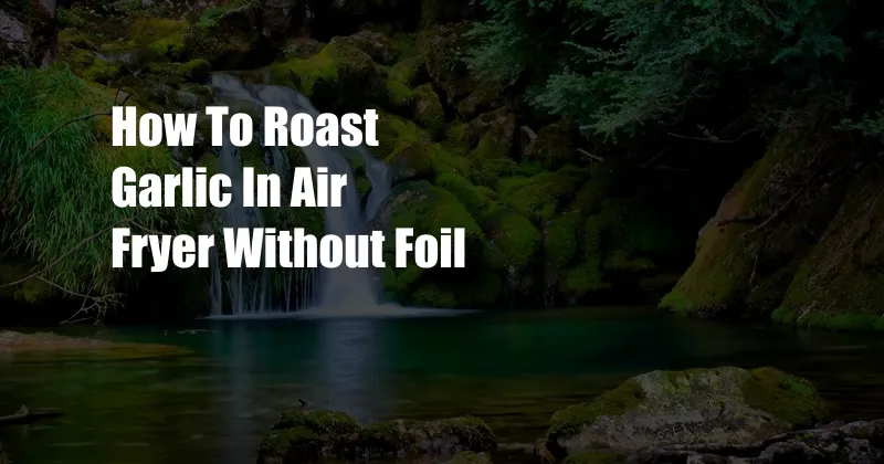 How To Roast Garlic In Air Fryer Without Foil