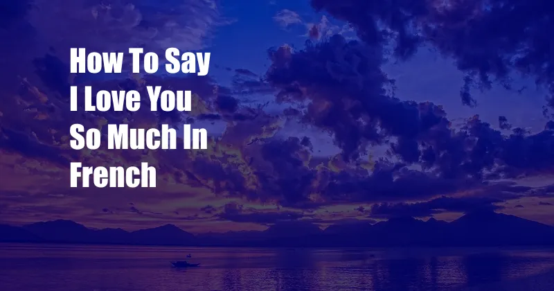 How To Say I Love You So Much In French
