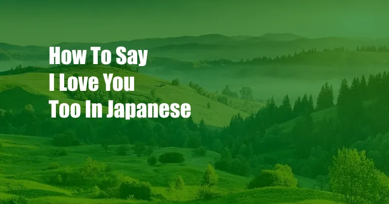 How To Say I Love You Too In Japanese