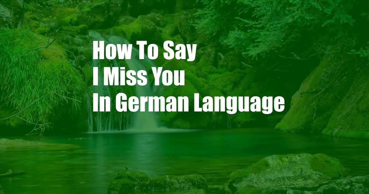 How To Say I Miss You In German Language