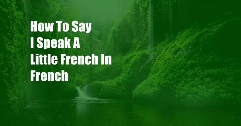 How To Say I Speak A Little French In French