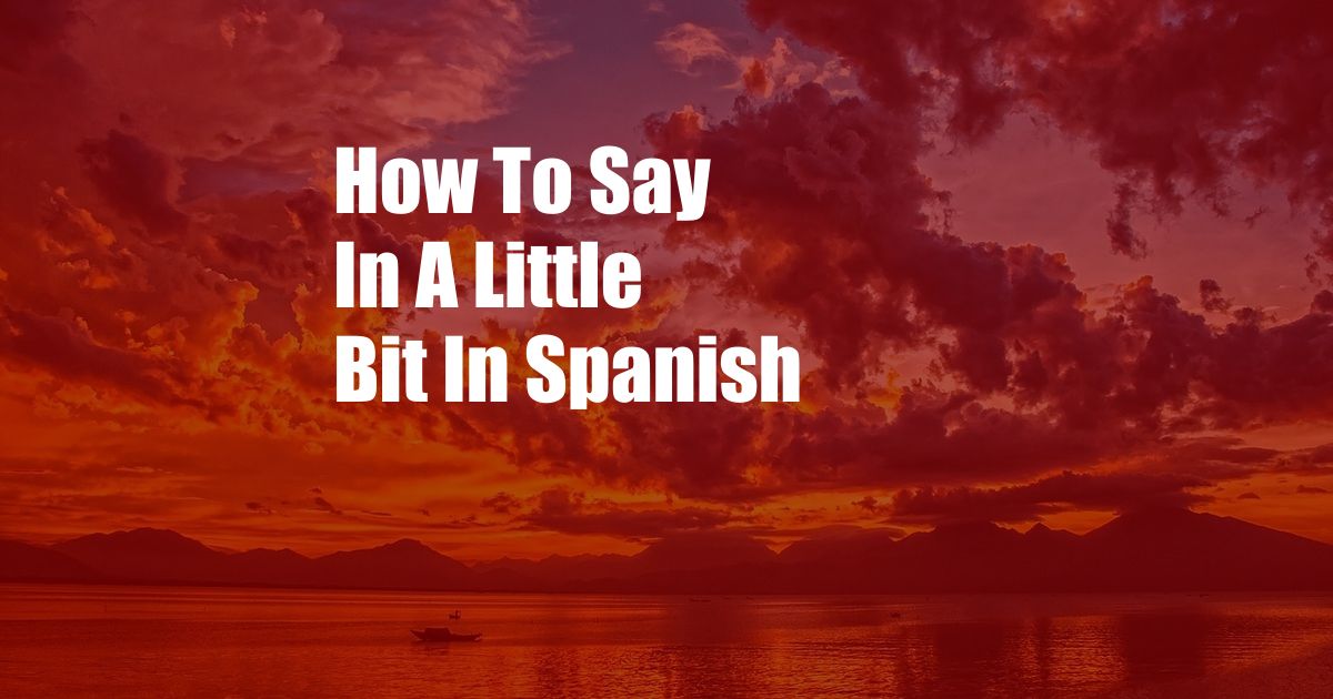 How To Say In A Little Bit In Spanish