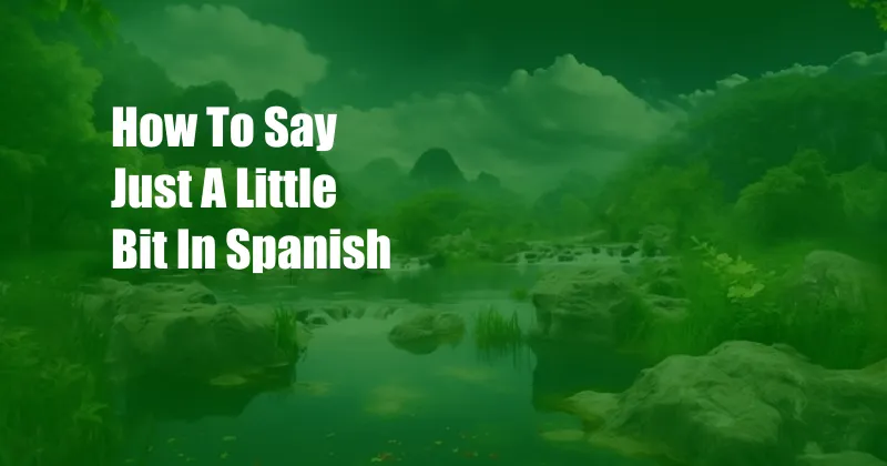 How To Say Just A Little Bit In Spanish