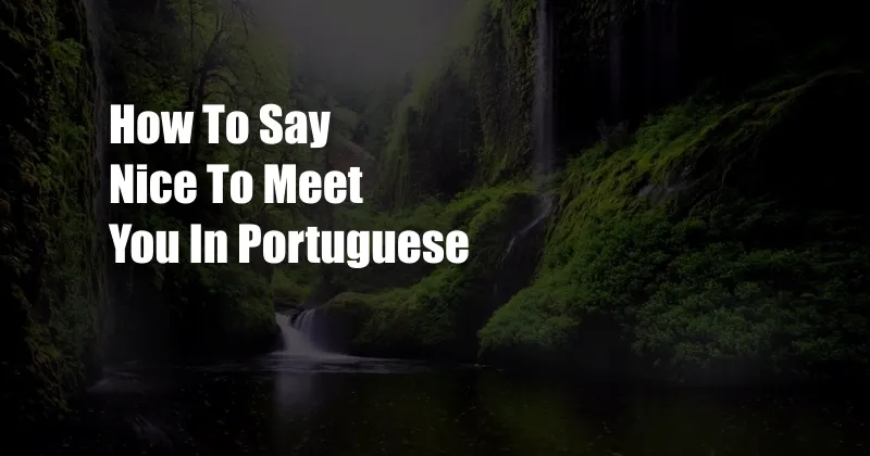 How To Say Nice To Meet You In Portuguese