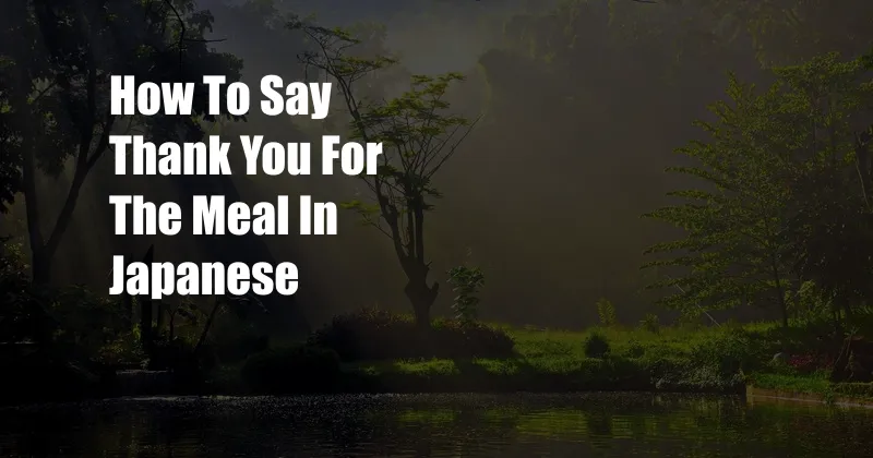 How To Say Thank You For The Meal In Japanese