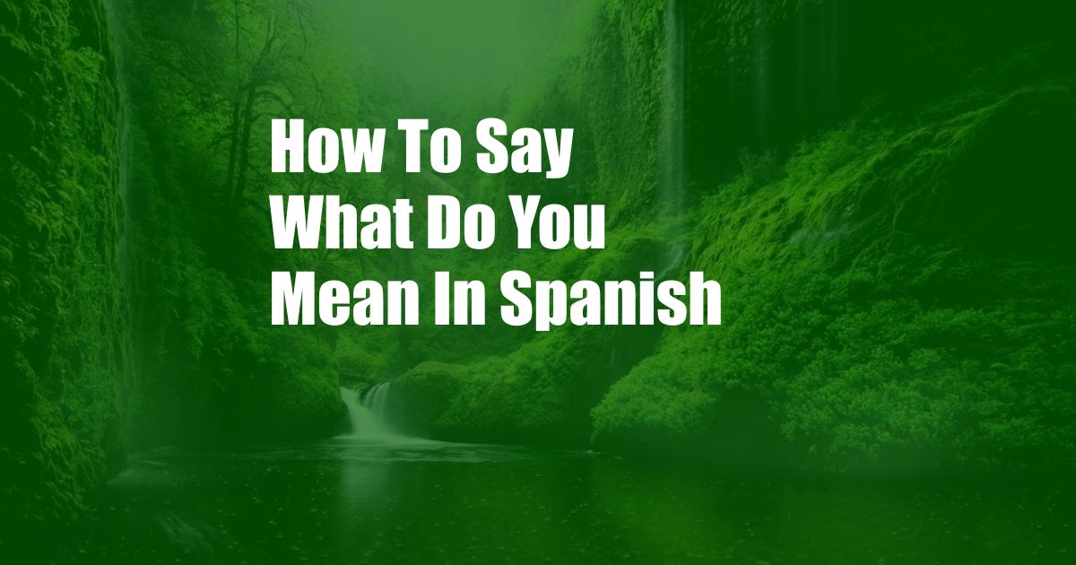 How To Say What Do You Mean In Spanish