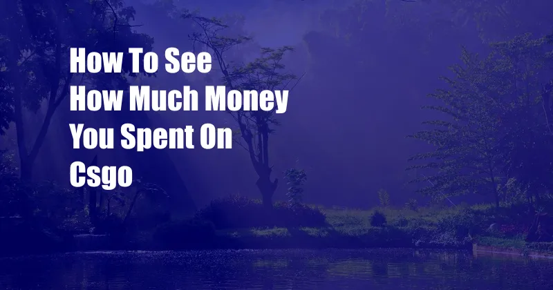 How To See How Much Money You Spent On Csgo