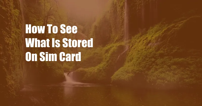 How To See What Is Stored On Sim Card