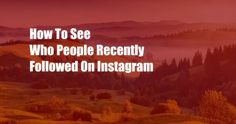 How To See Who People Recently Followed On Instagram