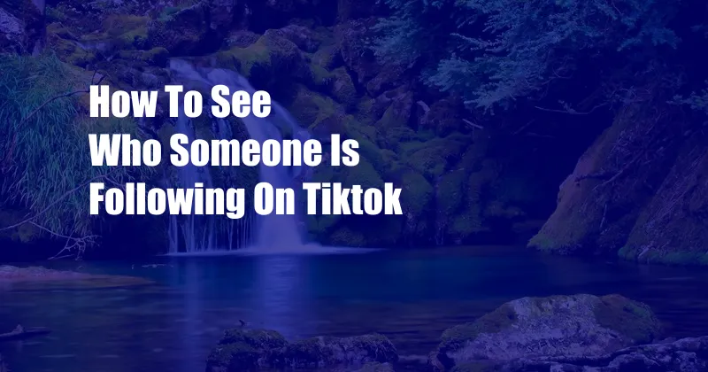 How To See Who Someone Is Following On Tiktok