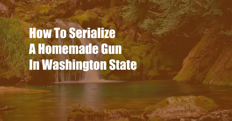 How To Serialize A Homemade Gun In Washington State