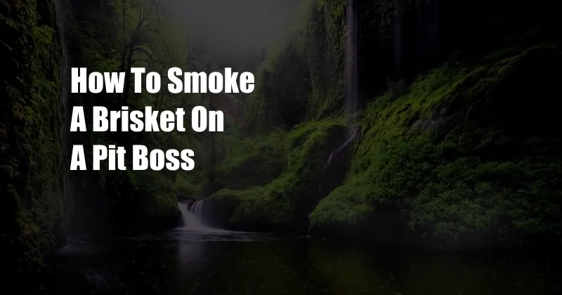 How To Smoke A Brisket On A Pit Boss