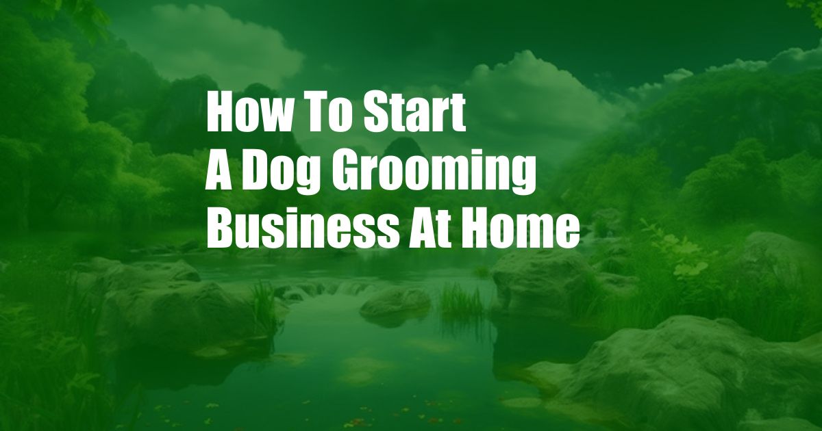 How To Start A Dog Grooming Business At Home