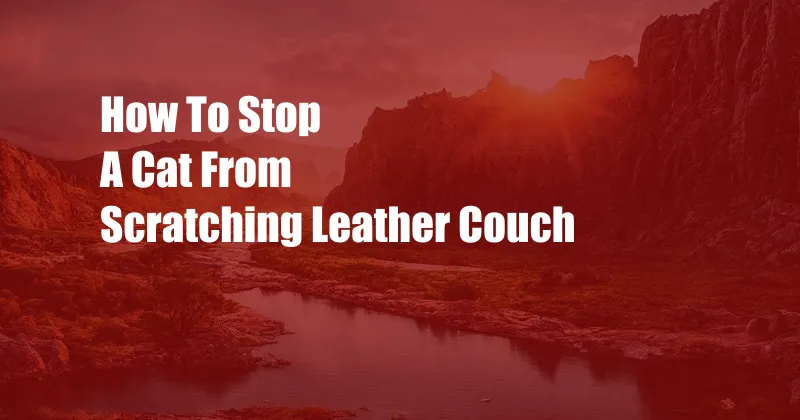 How To Stop A Cat From Scratching Leather Couch