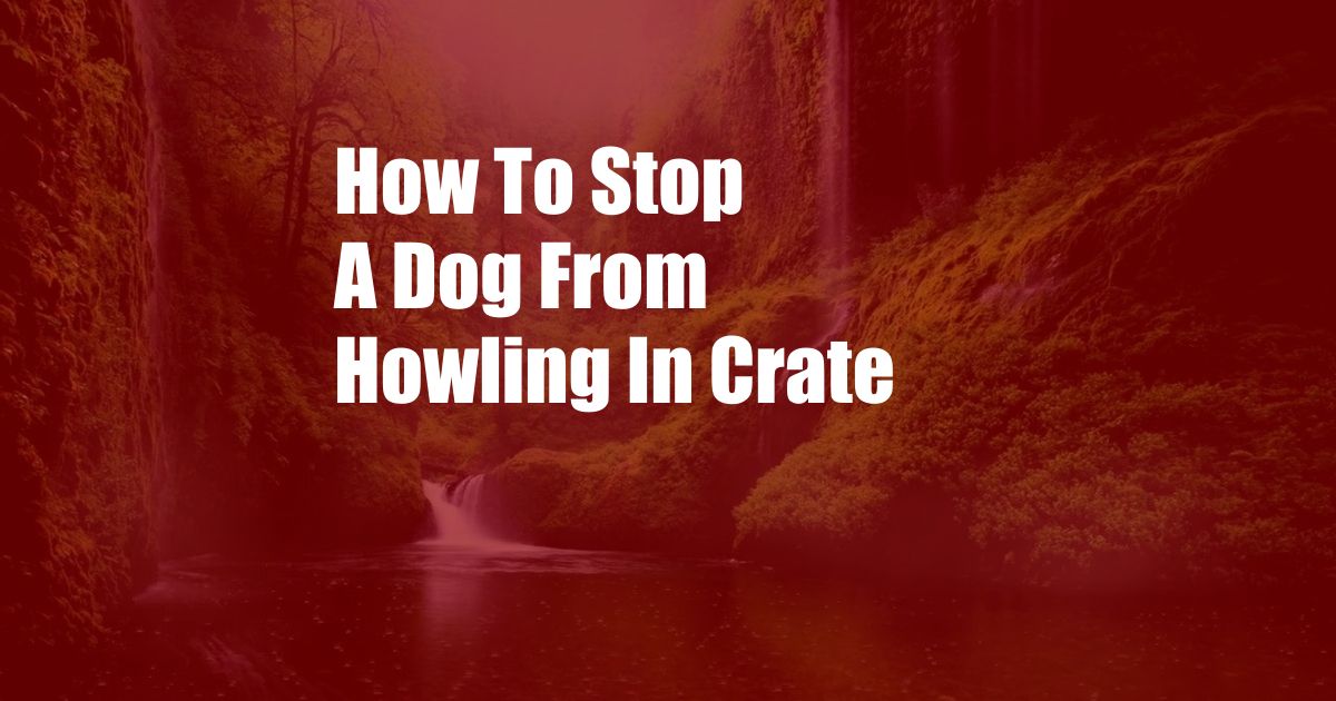 How To Stop A Dog From Howling In Crate