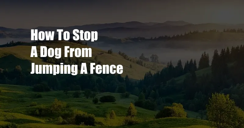 How To Stop A Dog From Jumping A Fence