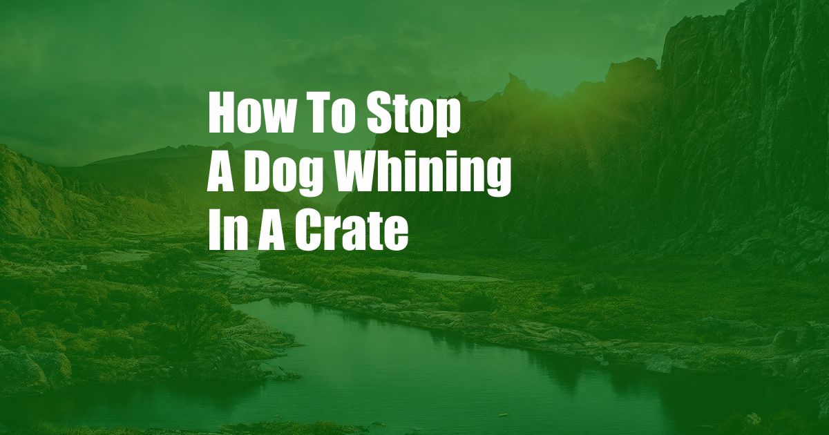 How To Stop A Dog Whining In A Crate