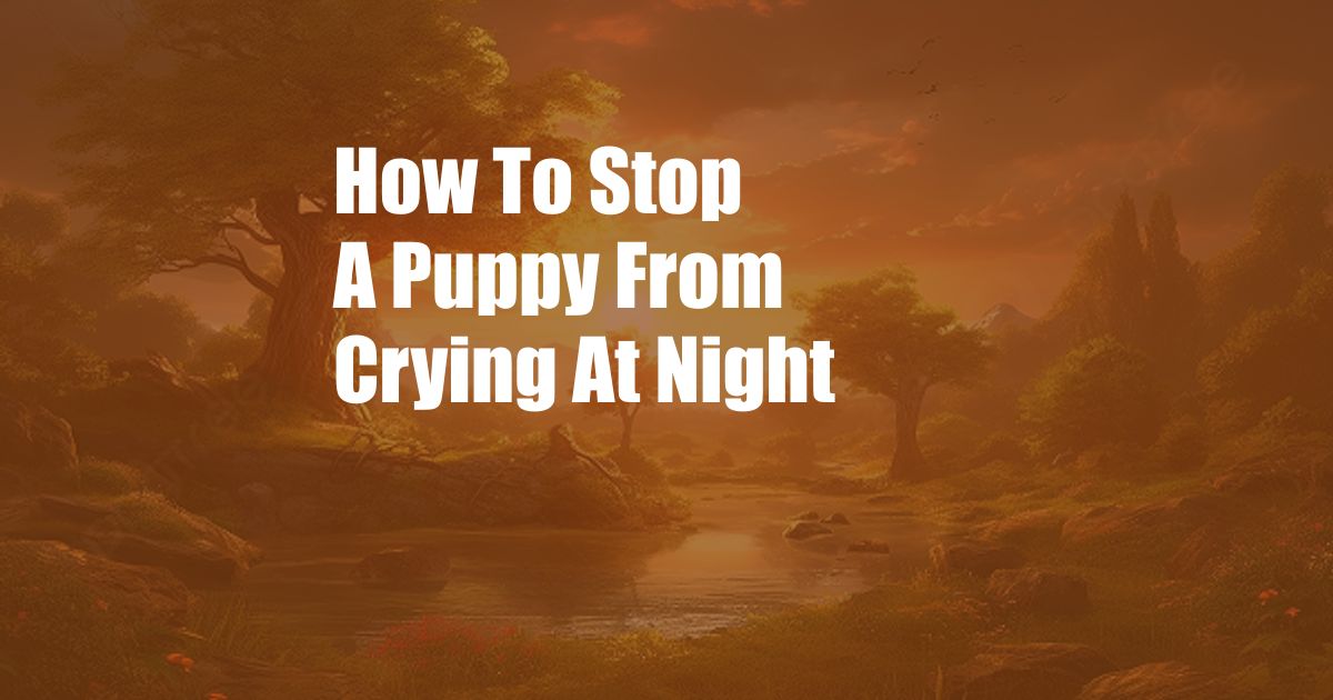 How To Stop A Puppy From Crying At Night