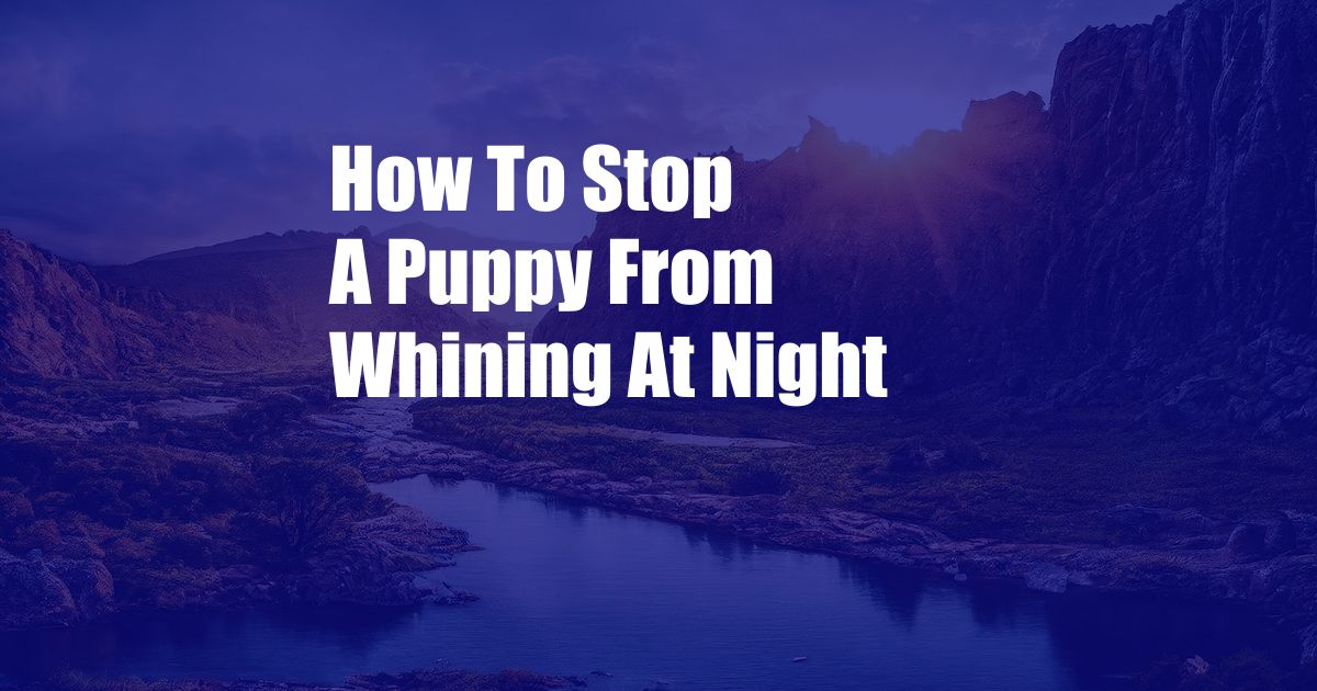 How To Stop A Puppy From Whining At Night