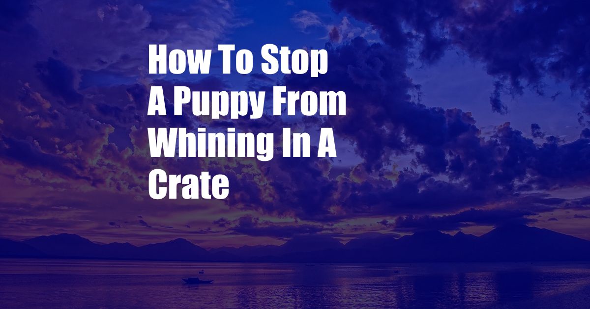 How To Stop A Puppy From Whining In A Crate