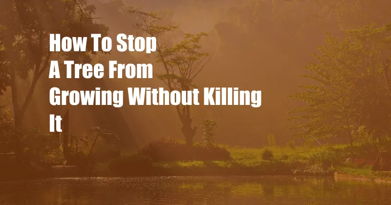 How To Stop A Tree From Growing Without Killing It