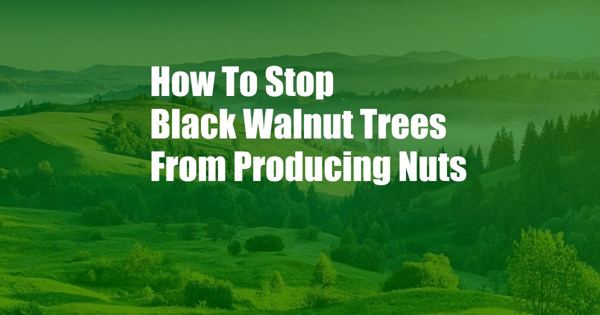 How To Stop Black Walnut Trees From Producing Nuts