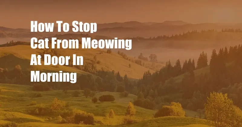 How To Stop Cat From Meowing At Door In Morning