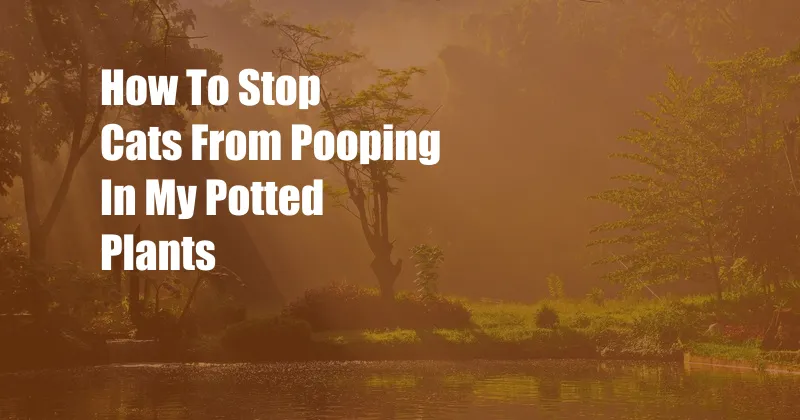 How To Stop Cats From Pooping In My Potted Plants