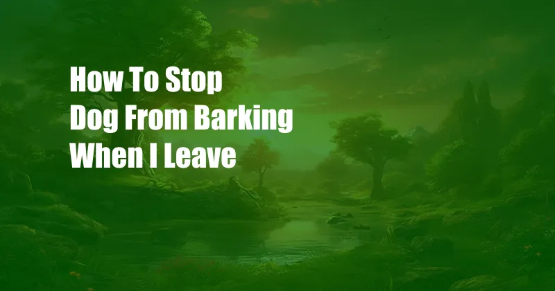 How To Stop Dog From Barking When I Leave