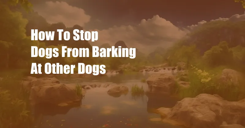How To Stop Dogs From Barking At Other Dogs