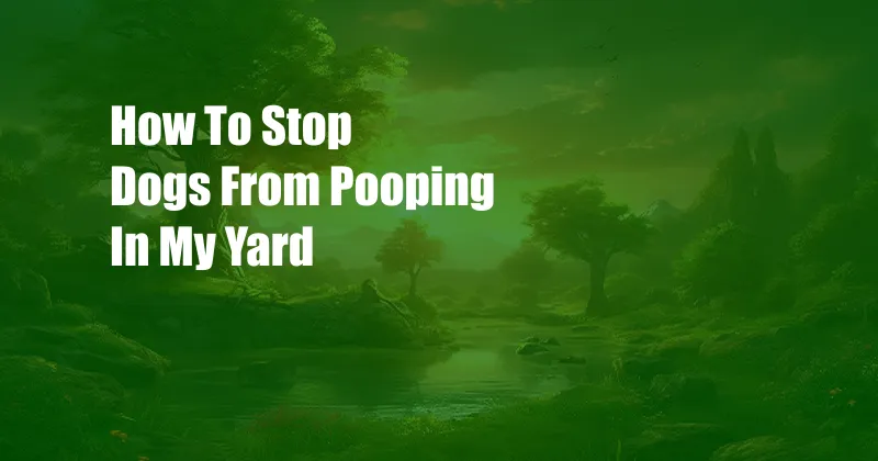 How To Stop Dogs From Pooping In My Yard