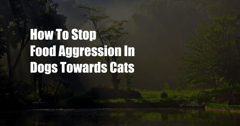 How To Stop Food Aggression In Dogs Towards Cats