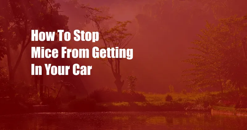 How To Stop Mice From Getting In Your Car